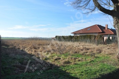 Działka, Dąbcze, Rydzyna (gm.), 1538 m²