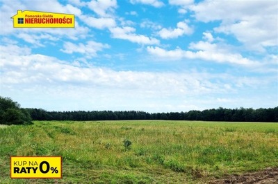 Działka, Krytno, Polanów (gm.), 3277 m²