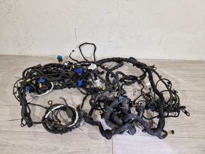 Ferrari f152 berlinetta inst електрична джгут фото №1