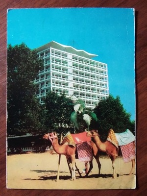 BUŁGARIA - NESEBYR hotel wielbłąd 1970 r.