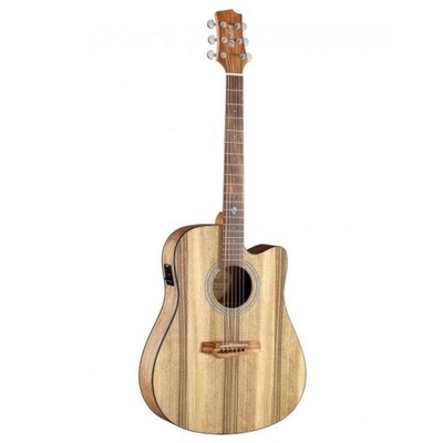 Gitara akustyczna Randon RGI-PW1-CE EQ