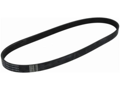 Ремень многоручьевой ford focus c-max 1.6 03-07 фото №1