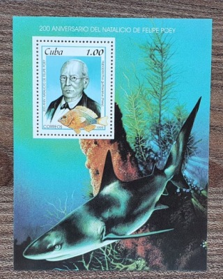 Fauna - Ryba - Ryby - Kuba