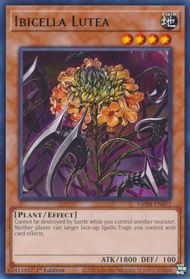 Yu-Gi-Oh! TCG: Ibicella Lutea (VASM)