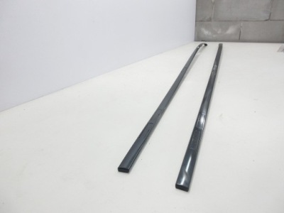 Renault grand scenic ii 1.9 dci f9q812 молдинг дахова ліва права фото №1