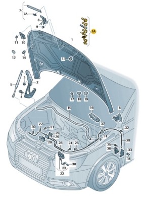 Набір елементів mocująych передня капот audi a1 aso оригінал фото №1