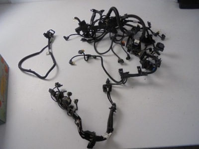 Электропроводка двигателя mini f54 clubman fl 1.5 tb 21r фото №1