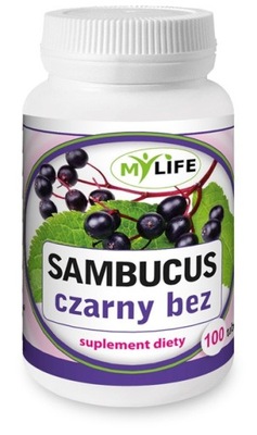 Sambucus Czarny Bez