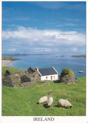 IRLANDIA - GREAT BLASKET ISLAND