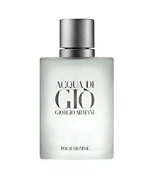 Giorgio Armani Acqua di Gio Pour Homme 100ml