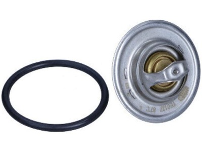 TERMOSTATO MAGNETI MARELLI 352317101270  