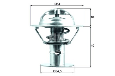 MAHLE TERMOSTATAS SKYSČIAI AUŠINAMOSIOS FORD COUGAR MAVERICK MONDEO I 