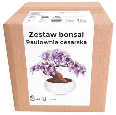 Zestaw do Uprawy BONSAI paulownia cesarska