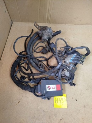 Електропроводка газова комплектна brc фото №1