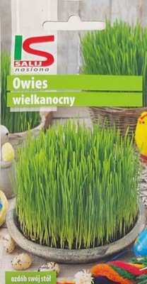 Nasiona Salnas Owies Wielkanocny 20g Ogród