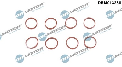 DR.MOTOR DRM01323S JUEGO USZCZELEK, COLECTOR DOLO 