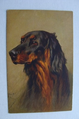 PIES przedwojenna POCZTÓWKA