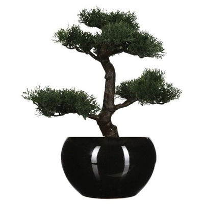 Dekoracyjne drzewko bonsai w doniczce do biura