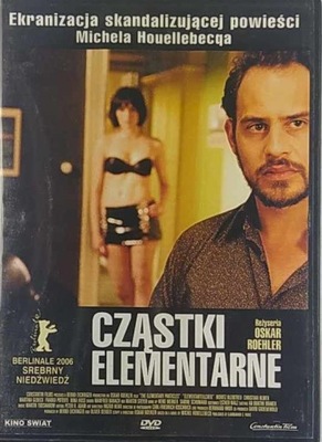 Cząstki elementarne DVD