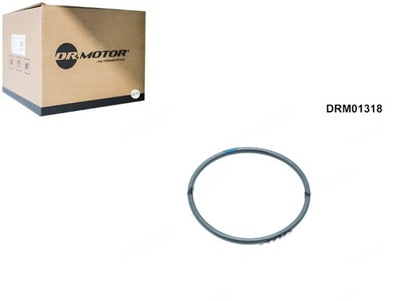 FORRO TAPONES DE FILTRO ACEITES DR.MOTOR AUTOMOTIVE  