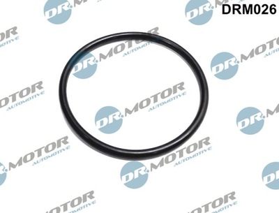 DR. MOTOR SANDARIKLIS DROSELINĖS SKLENDĖS (MALY) RENAULT CLIO 1.4-2.0 98- 