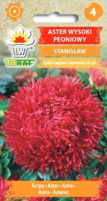 ŐSZIRÓZSA PEONIÁS VIRÁGMAG 1G TORAF