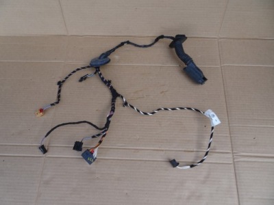 Vw passat b8 джгут двері правий задня 3g0971694a фото №1