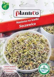 Nasiona na kiełki - SOCZEWICA plantico