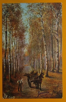 273646, las, koń, obieg 1908