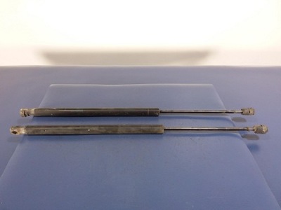 Scenic ii амортизатори задній кришки фото №1