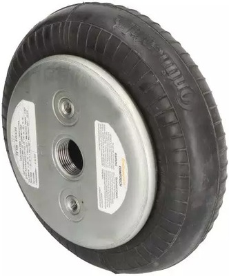 CONTINENTAL ПЫЛЬНИК ПОДВЕСКИ FS120-9 3/4 M8 2681030