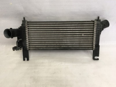 Nissan navara d40 інтеркулер 14461-5x00a фото №1