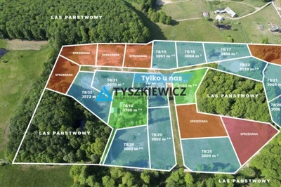 Działka, Trzepowo, Przywidz (gm.), 3004 m²