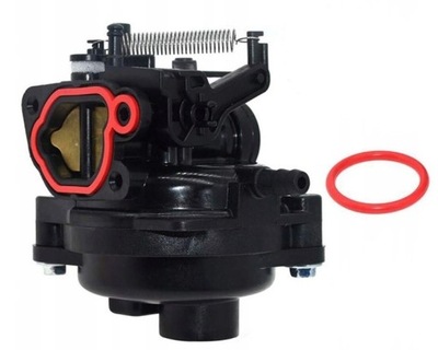 GAZNIKDO ŽOLIAPJOVĖS BRIGGS STRATTON 591109 