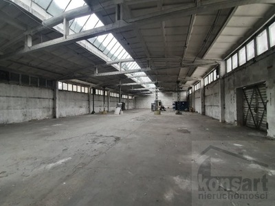 Magazyny i hale, Szczecin, 1198 m²
