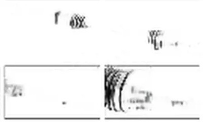 Приводной вал правый  перед dk55.103 snr renault clio 3 фото №1