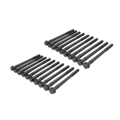 Elring 804.720 набір гвинт головки циліндрів фото №1