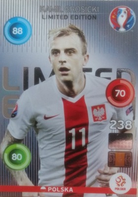 EURO 2016 FRANCE LIMITED KAMIL GROSICKI