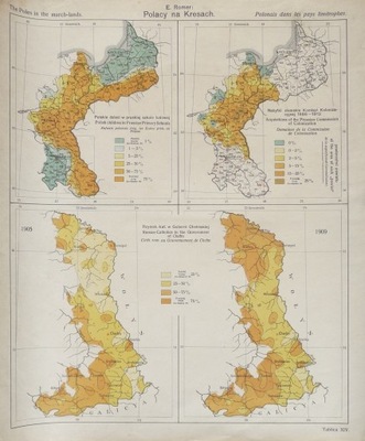 Polacy na Kresach - E. Romer Tablica XIV