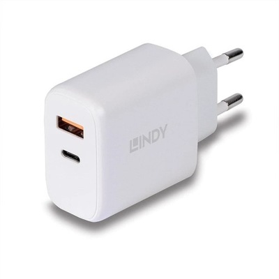 CHARGER WALL 30W/73424 LINDY 