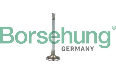 Borsehung b19021 клапан впускний фото №1