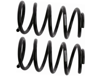 Пружини задня sachs 992 294 фото №1