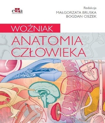 Anatomia człowieka Woźniak anatomia TANIO