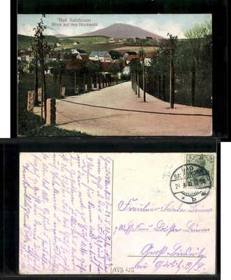 Szczawno Zdrój Blick auf den Hochwald 1910r.
