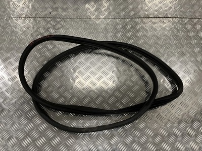 Прокладка дверь правый перед hyundai ioniq 5 ne 21- фото №1