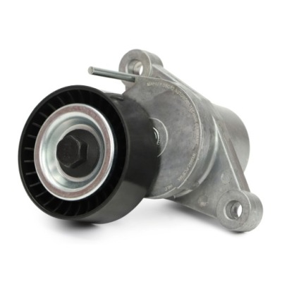 Натяжитель ремень многоручейковый citroen berlingo, berlingo multispace, c3 ii, фото №1