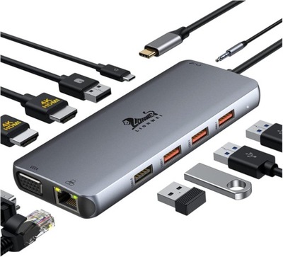 HUB USB-C LIONWEI 11W1 LIUC3310-DE