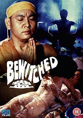 BEWITCHED (DVD)