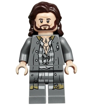 LEGO Harry Potter Figurka Sirius Black hp174