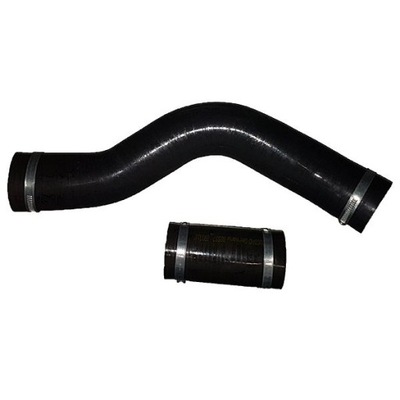 Bugiad 88557 шланг воздуха наддувочный фото №1